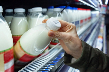 Россия обеспечивает себя молоком благодаря Беларуси – Минсельхоз